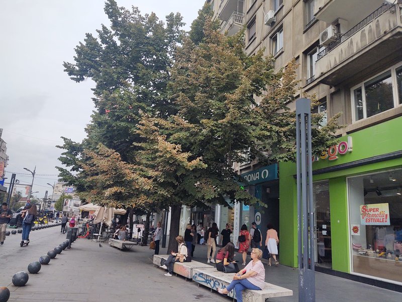 Romana, Magheru 32-36, intrare de pe bulevard,